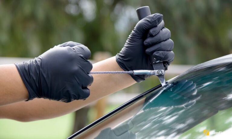 Windshield molding replacement